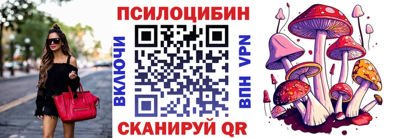 Галлюциногенные грибы Psilocybine cubensis  Ярцево 